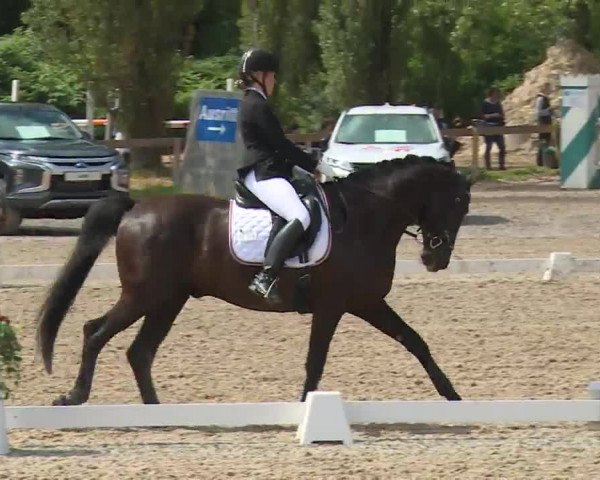 Reitturnier Kleinostheim/Ufr. 2020