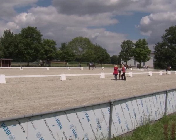 Reitturnier Rot am See- Musdorf 2020