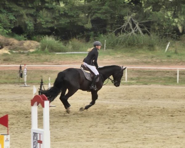Reitturnier Heiligenwald 2020