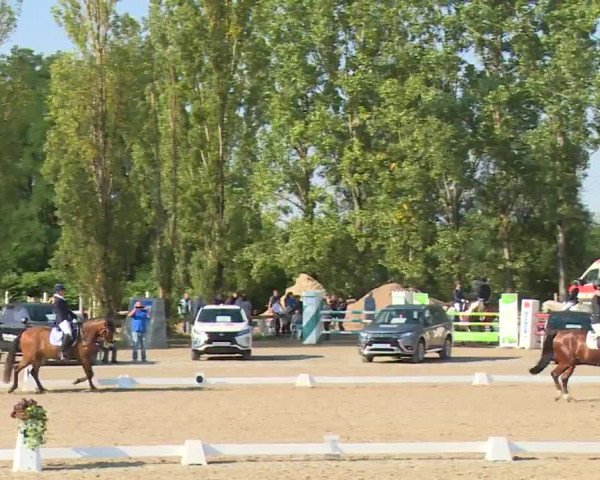Reitturnier Kleinostheim/Ufr. 2020