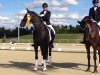 dressage horse Silverstone (Westphalian, 2011, from Silbermond)