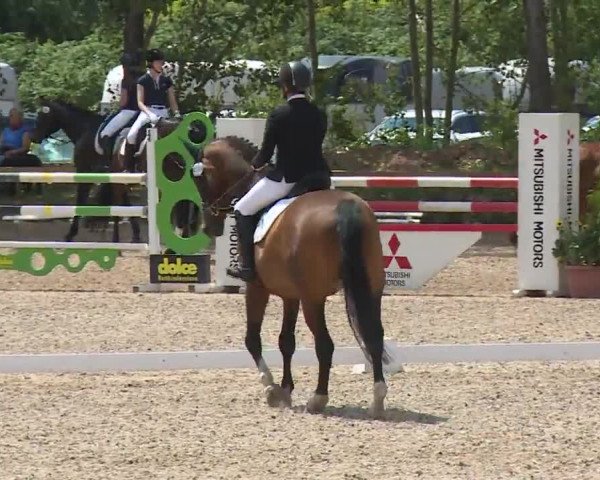 Reitturnier Kleinostheim/Ufr. 2020