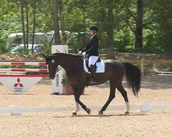 Reitturnier Kleinostheim/Ufr. 2020