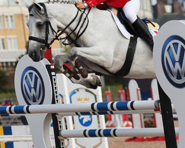 jumper Ashlair Lady (Connemara Pony, 2000, from Ruaille Buaille Bui)