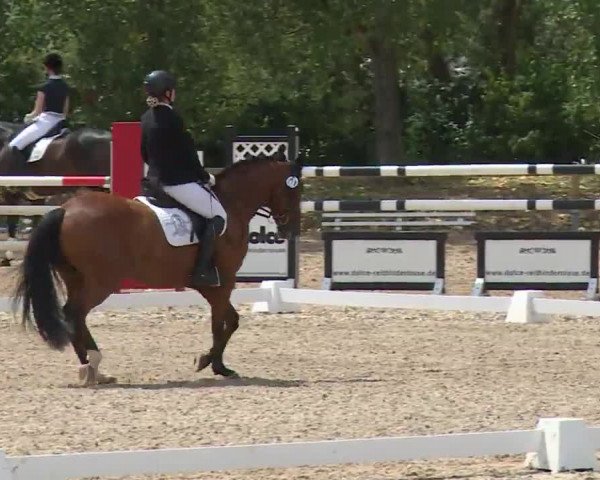 Reitturnier Kleinostheim/Ufr. 2020