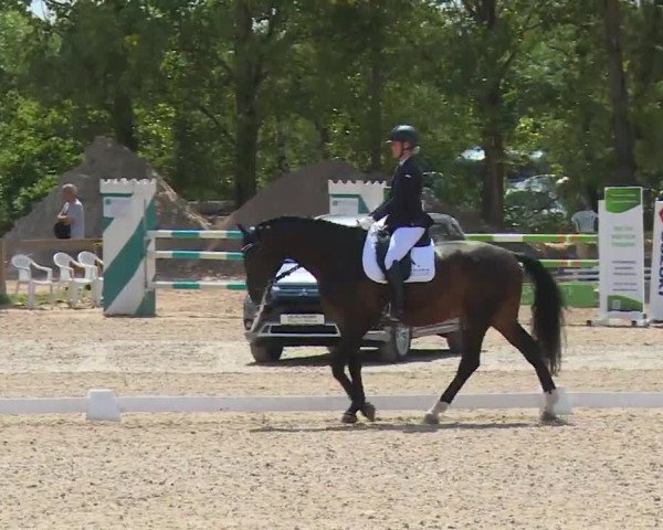 Reitturnier Kleinostheim/Ufr. 2020
