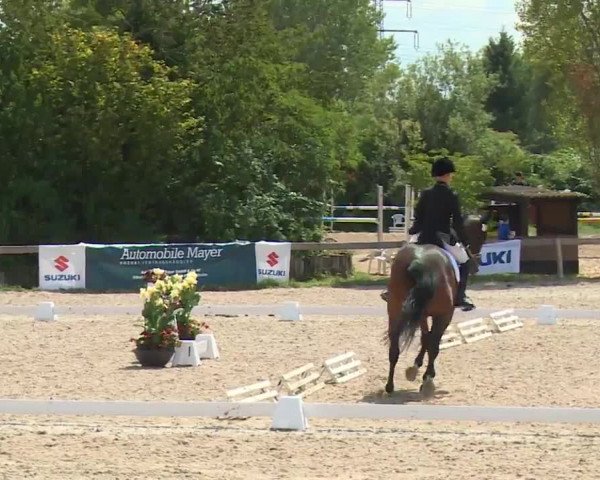 Reitturnier Kleinostheim/Ufr. 2020