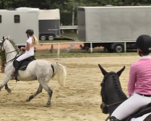 Reitturnier Heiligenwald 2020