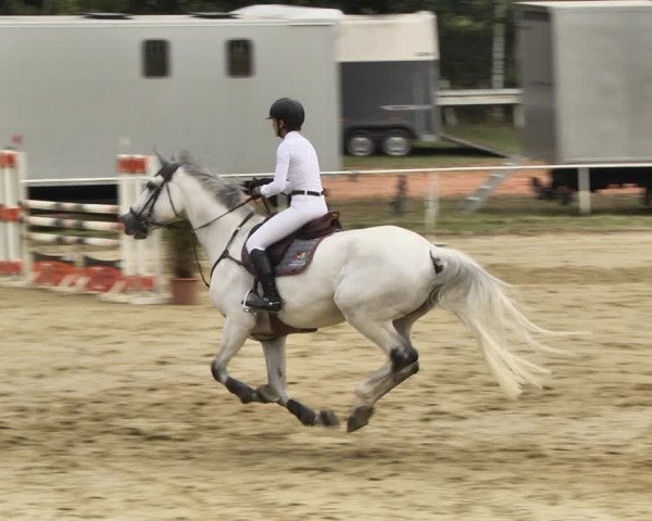 Reitturnier Heiligenwald 2020