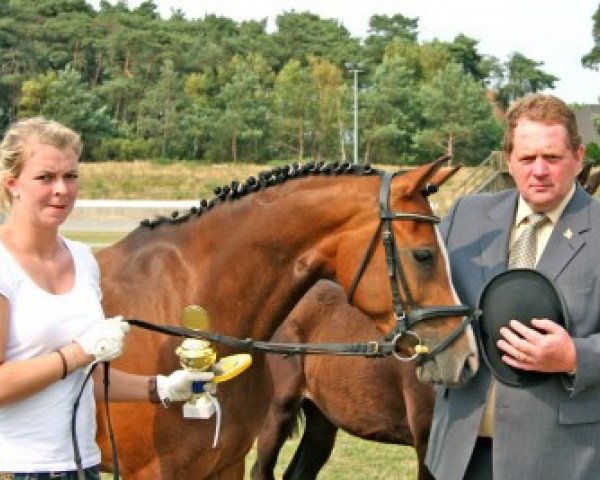 broodmare Candis (German Riding Pony, 2003, from Majan's Sunny Boy)