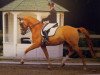 dressage horse Locksley's Son (Hanoverian, 2006, from Locksley I)