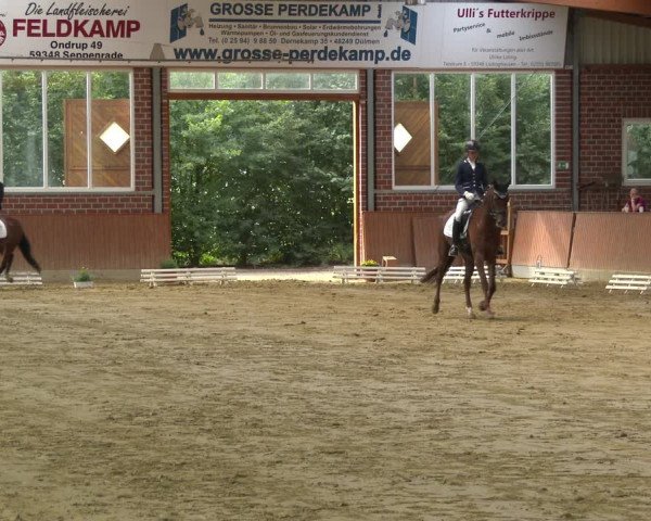 Reitturnier Seppenrade 2020