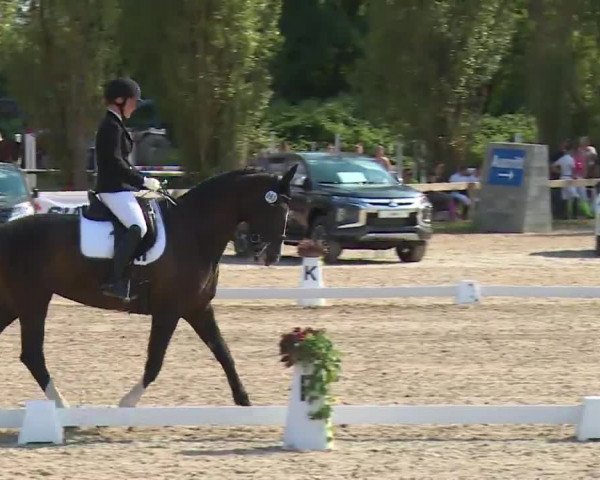 Reitturnier Kleinostheim/Ufr. 2020