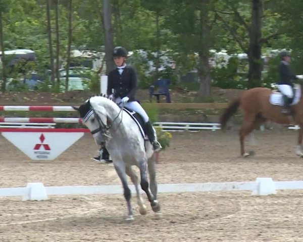 Reitturnier Kleinostheim/Ufr. 2020