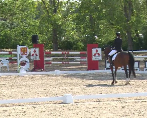 Reitturnier Kleinostheim/Ufr. 2020