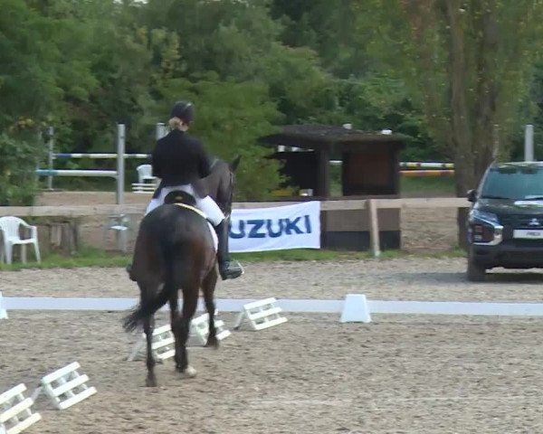 Reitturnier Kleinostheim/Ufr. 2020