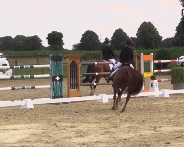Reitturnier Marl, Reitanlage Rohmann 2020