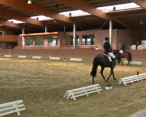 Reitturnier Seppenrade 2020