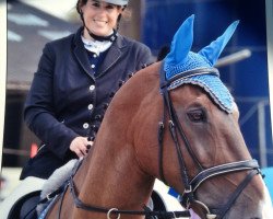 jumper Etan van de Muilshoek (Belgian Warmblood, 2004, from Quival)