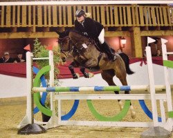 broodmare Quilandra (Oldenburg show jumper, 2009, from Quinaro 2)