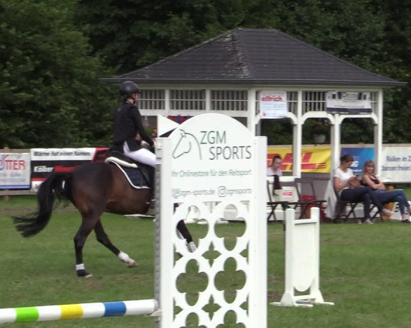 Reitturnier Greven 2020