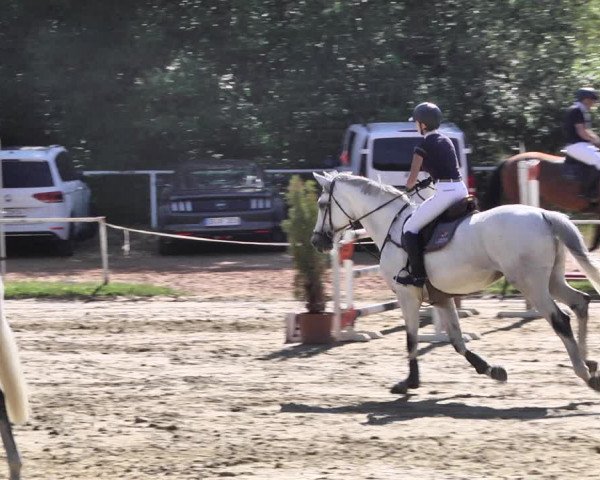 Reitturnier Heiligenwald 2020
