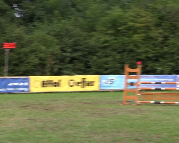 Reitturnier Greven 2020