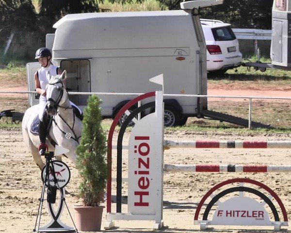 Reitturnier Heiligenwald 2020