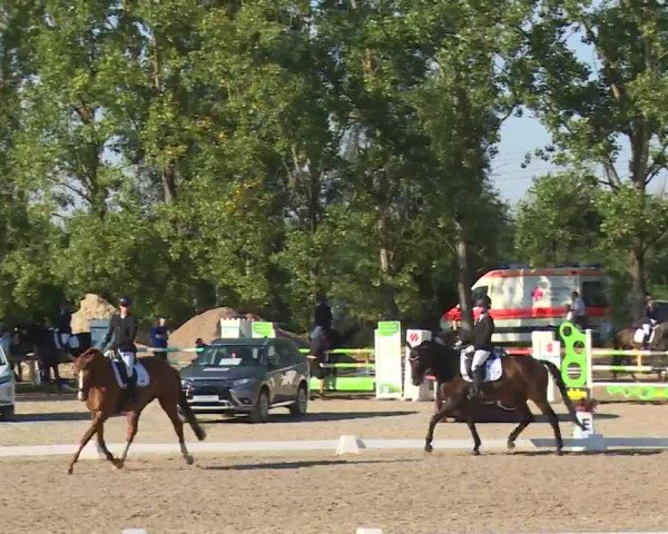 Reitturnier Kleinostheim/Ufr. 2020