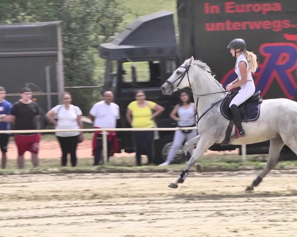 Reitturnier Heiligenwald 2020