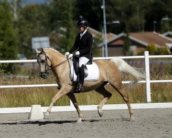 broodmare Prinzessin (German Riding Pony, 2001, from Donauwind)