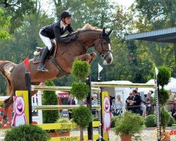 broodmare Albfuehren's Happiness (Danish Warmblood, 2006, from Heartbeat)