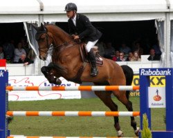 jumper Willink (KWPN (Royal Dutch Sporthorse), 2003, from Whirl Wind)