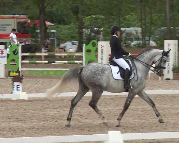 Reitturnier Kleinostheim/Ufr. 2020