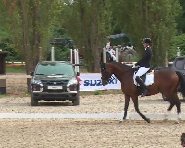 Reitturnier Kleinostheim/Ufr. 2020