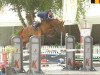 jumper Equador van't Roosakker (Belgian Warmblood, 2004, from Nabab de Rêve)