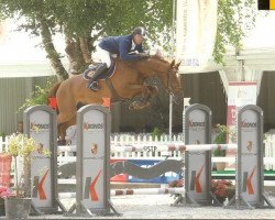 Springpferd Equador van't Roosakker (Belgisches Warmblut, 2004, von Nabab de Rêve)