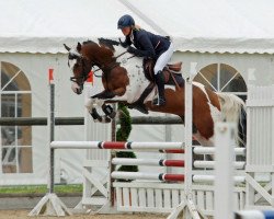 jumper Sense of Humour (German Sport Horse, 2010, from Sandopan)