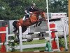 jumper Like Mike (Hanoverian, 2006, from Lordanos)