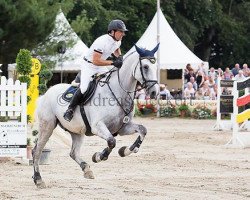 jumper Bling Chin VDL (KWPN (Royal Dutch Sporthorse), 2006, from Chin Chin)