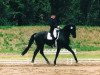 broodmare Winesse (Hanoverian, 1992, from Wenzel II)