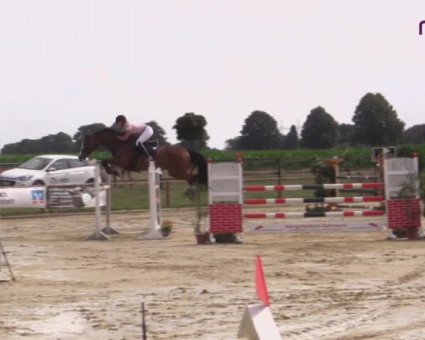 Reitturnier Marl, Reitanlage Rohmann 2020