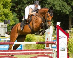 broodmare Brit Blubber (KWPN (Royal Dutch Sporthorse), 2006, from Acapulco Z)