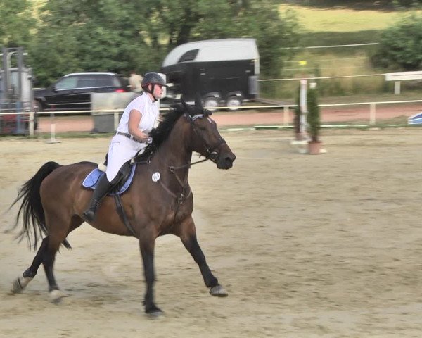 Reitturnier Heiligenwald 2020
