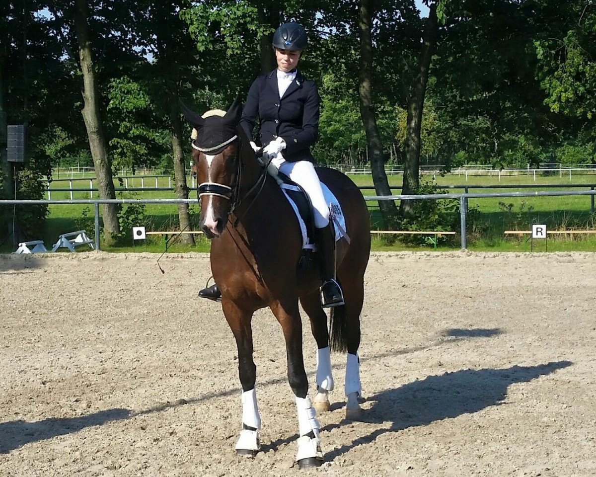 broodmare Eiskalter Engel (Hanoverian, 2009, from Escudo I)
