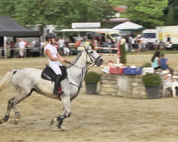 Reitturnier Heiligenwald 2020