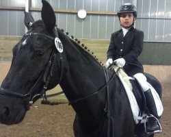 dressage horse Daida Rubina (Westphalian, 2004)