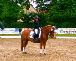 dressage horse Sultan 335 (German Riding Pony, 1992)