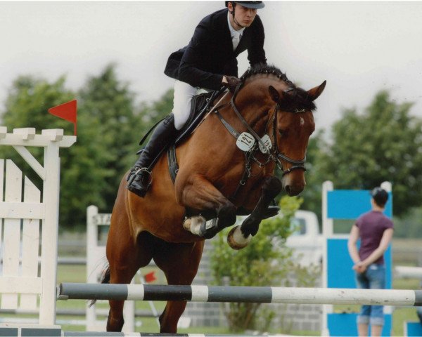 jumper Celina (German Sport Horse, 2010, from Cellestial)