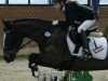 jumper Dream Carina (German Riding Pony, 2005, from FS Champion de Luxe)